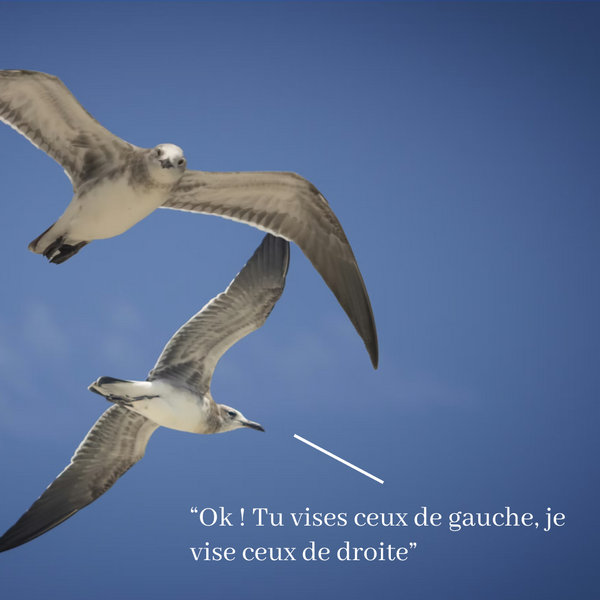 Gump, partenaire du Trail des Mouettes 2026 !